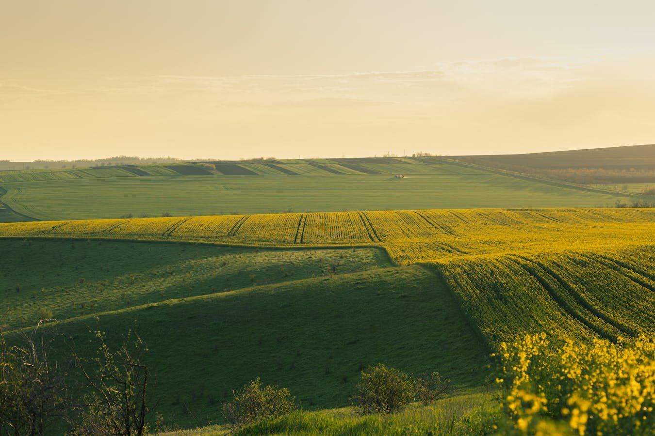 Fazenda Exclusiva